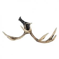 Wine Racks & Holders True Fabrications Antler Wall Rack