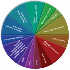 Spiegelau Beer Classics Stemmed Pilsner Value Pack