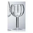 Other Contours Acrylic Red Wine Glasses (Set Of 4) Acrylic Glassware