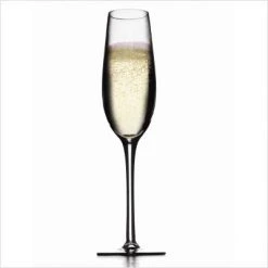 Metrokane Houdini Champagne Glasses (Set Of 4) Metrokane Glassware
