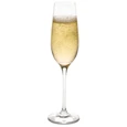 Ravenscroft Crystal Ravenscroft Vintner's Choice Champagne Glasses - Set Of 4
