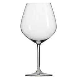 Schott Zwiesel Forte Burgundy Wine Glasses (Set Of 6) Schott Zwiesel Glassware
