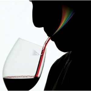 Other Wine Prism Wine Bottle Accessories 2 Other Wine Prism Wine Bottle Accessories